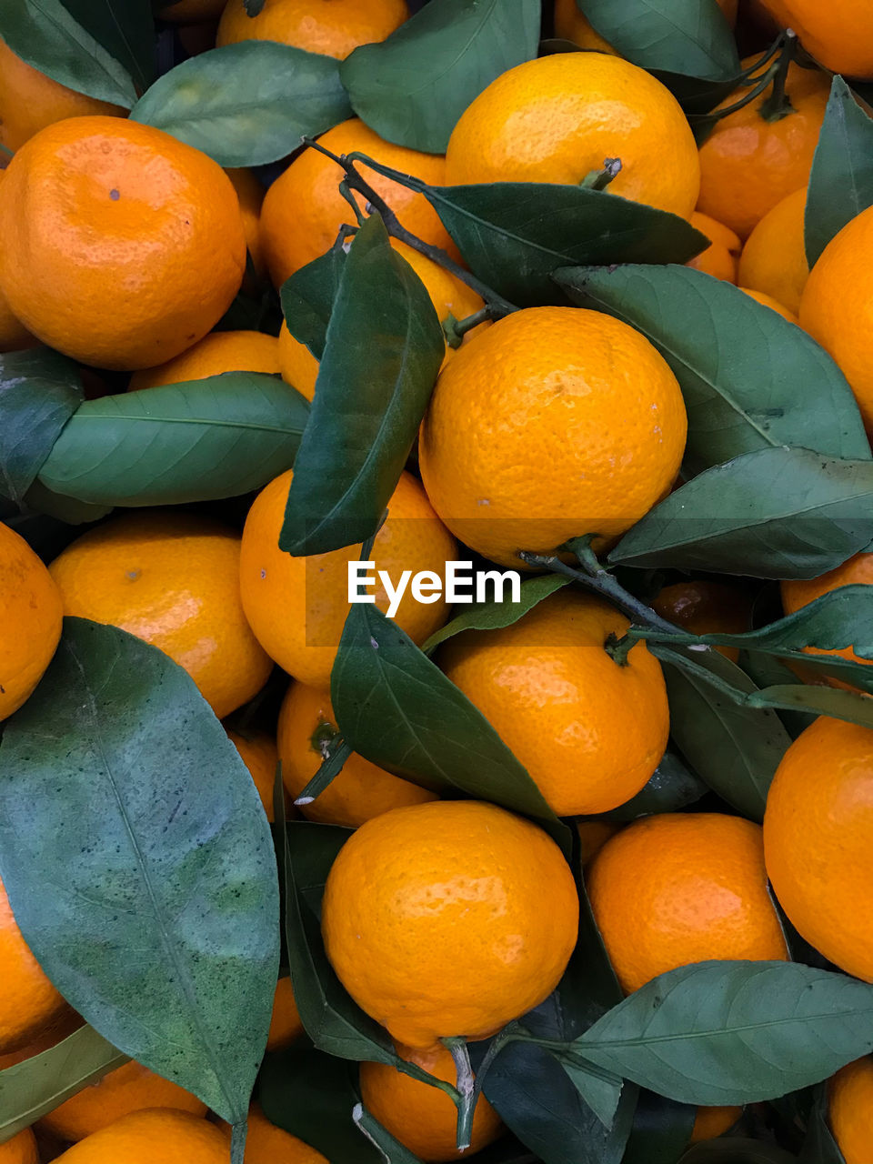 HIGH ANGLE VIEW OF ORANGES IN MARKET