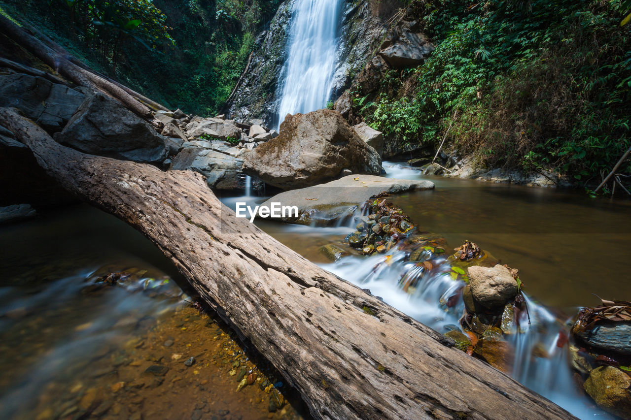 Scenic view of waterfall in forest