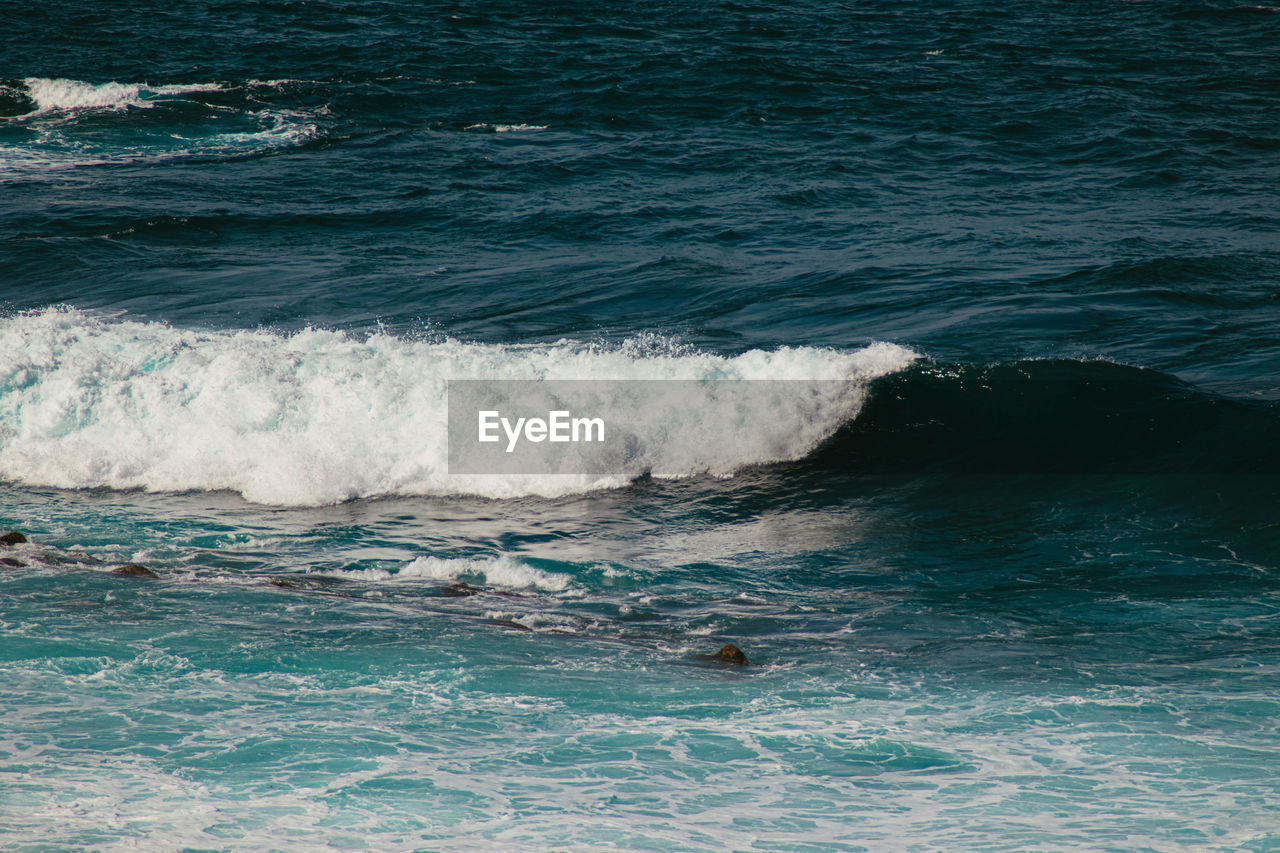 High angle view of swimming in sea