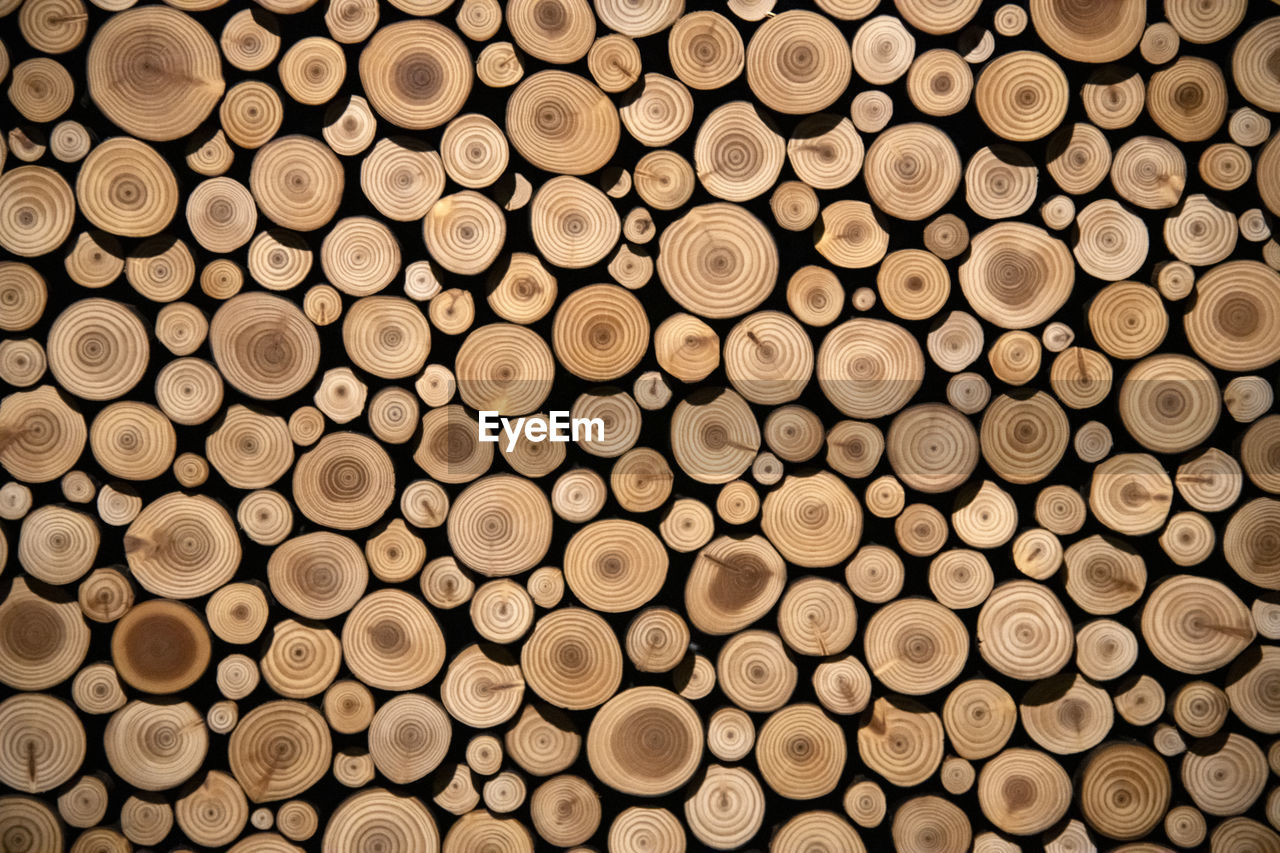 backgrounds, large group of objects, full frame, timber, wood, lumber industry, log, abundance, power generation, circle, firewood, shape, deforestation, geometric shape, environmental issues, tree, forest, no people, pattern, fossil fuel, repetition, arrangement, heap, close-up, textured, environmental damage, brown
