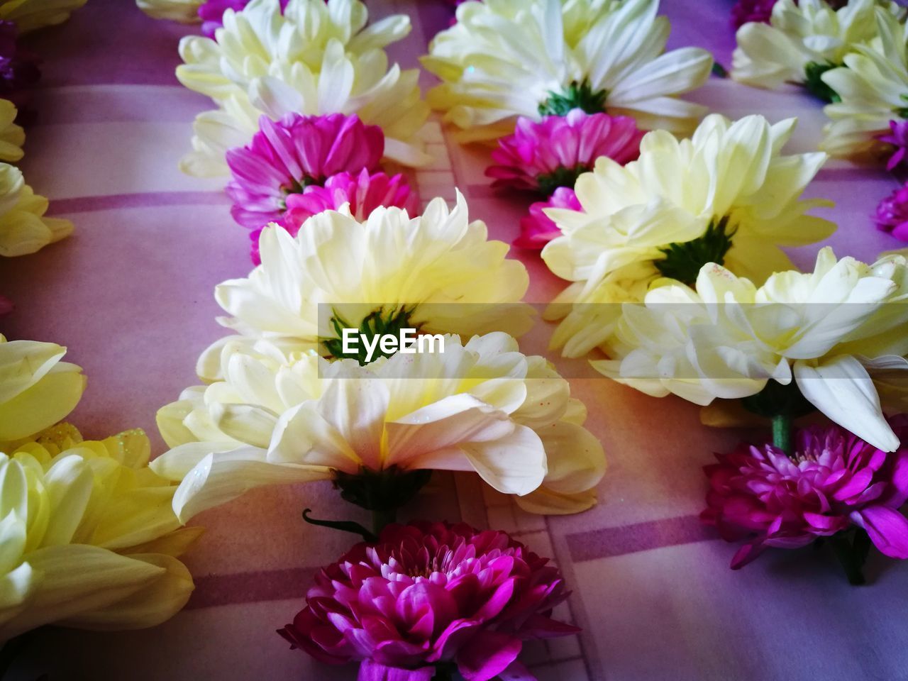 Beautiful flower garland