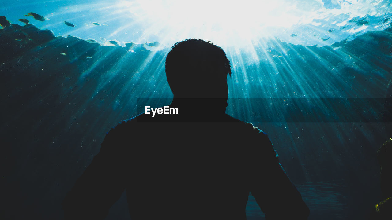 Rear view of silhouette man standing in aquarium