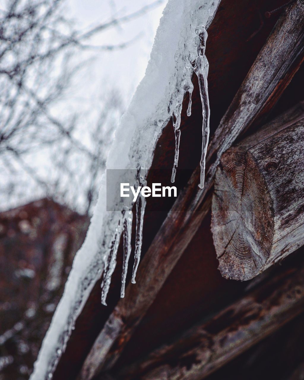 Close-up of icicles on roof during winter