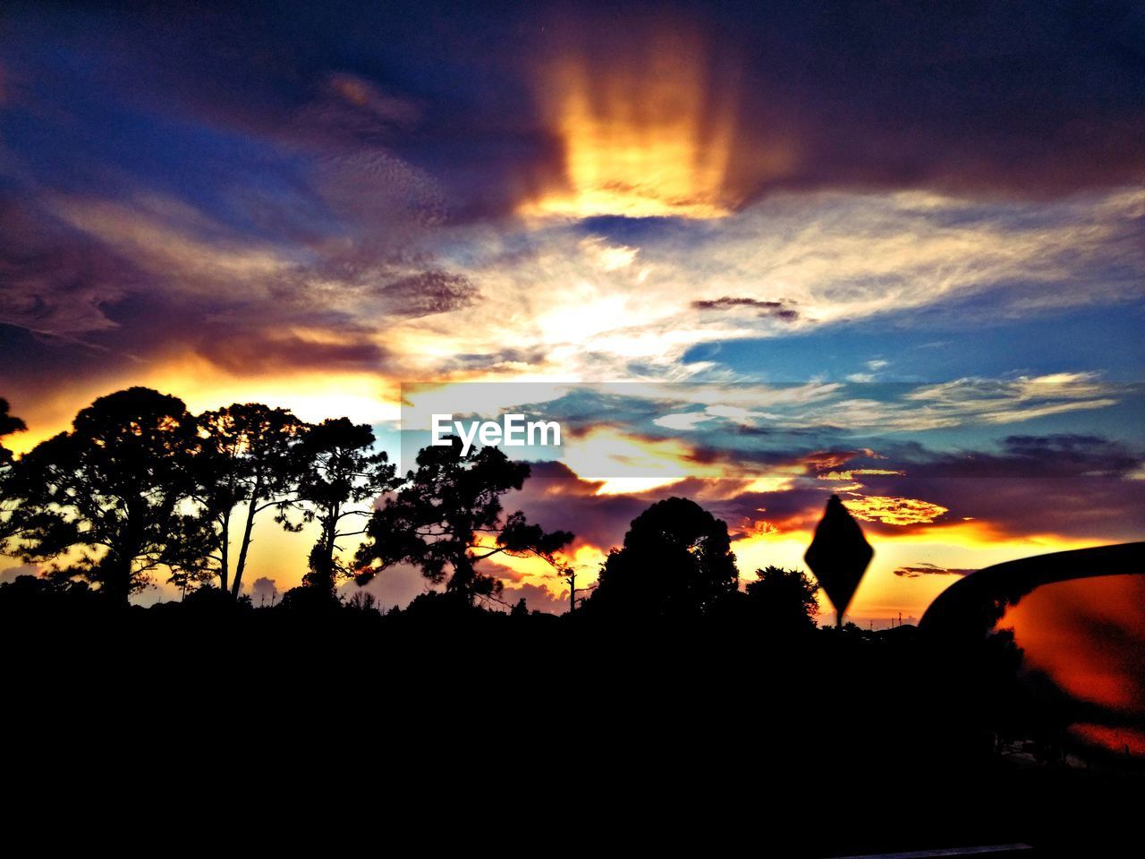 LOW ANGLE VIEW OF SILHOUETTE TREES AGAINST DRAMATIC SKY