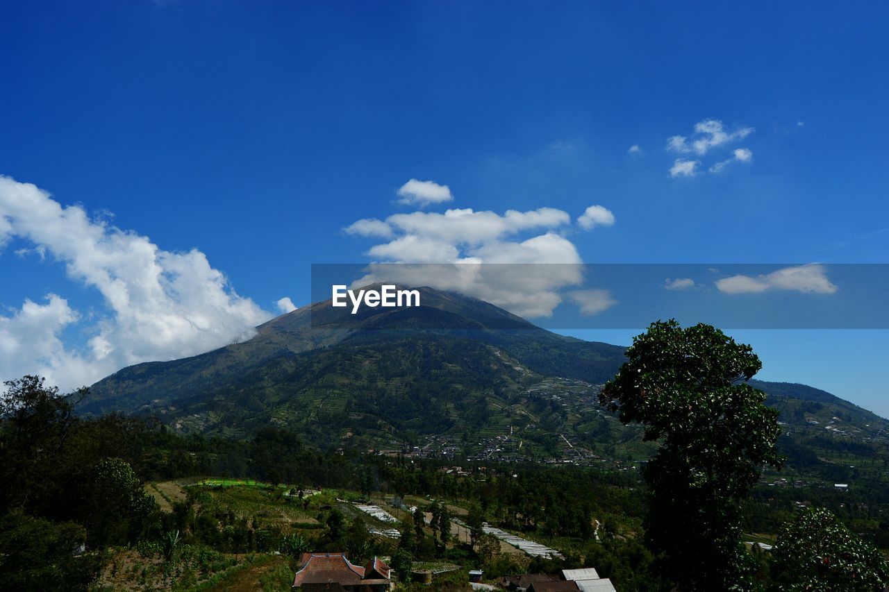 SCENIC VIEW OF GREEN LANDSCAPE AGAINST SKY