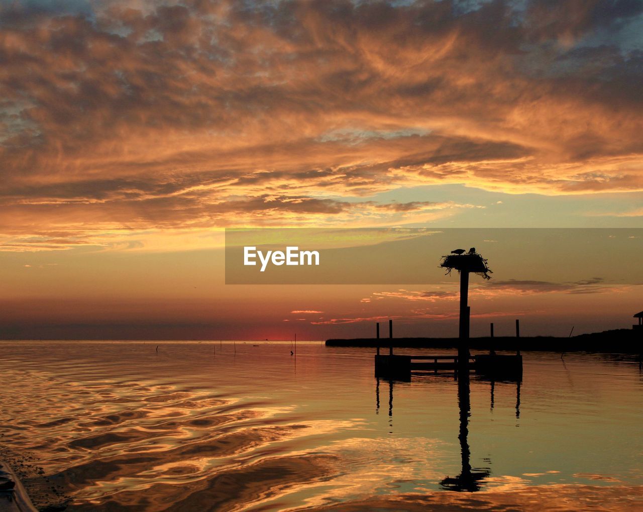 Bird nest on silhouette pole in lake against cloudy sky during sunset