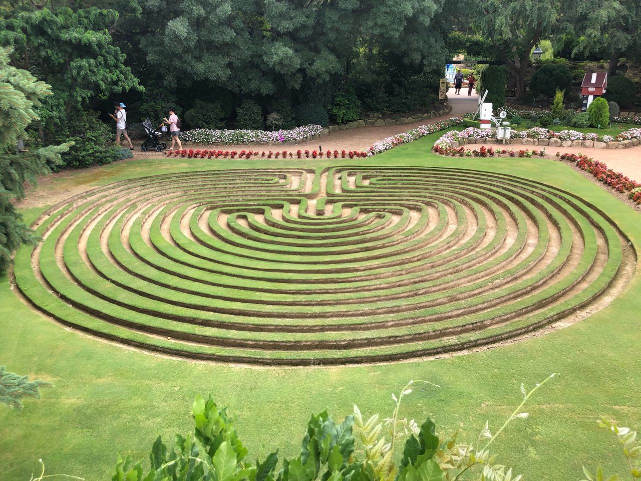 High angle view of trees on field-maze