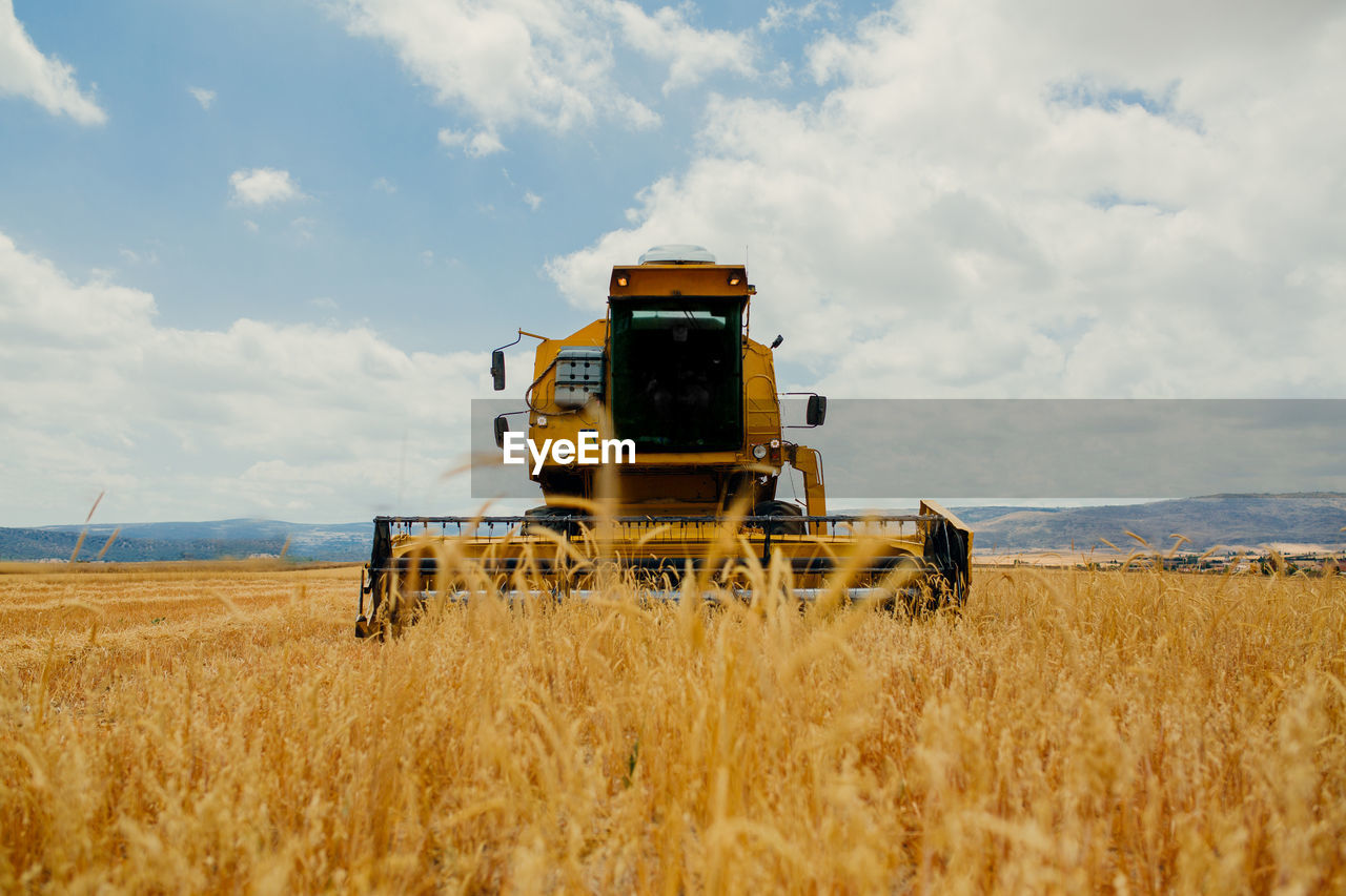 Combine harvester working in a cereal field