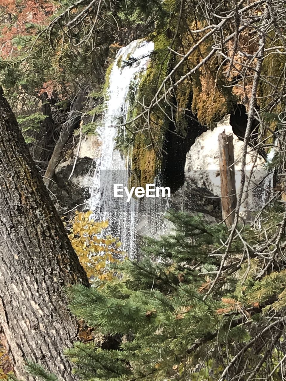 SCENIC VIEW OF WATERFALL