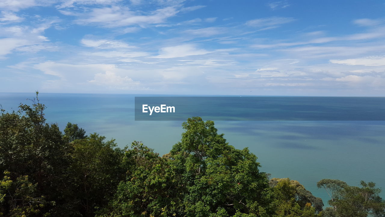 TREES AND SEA AGAINST SKY