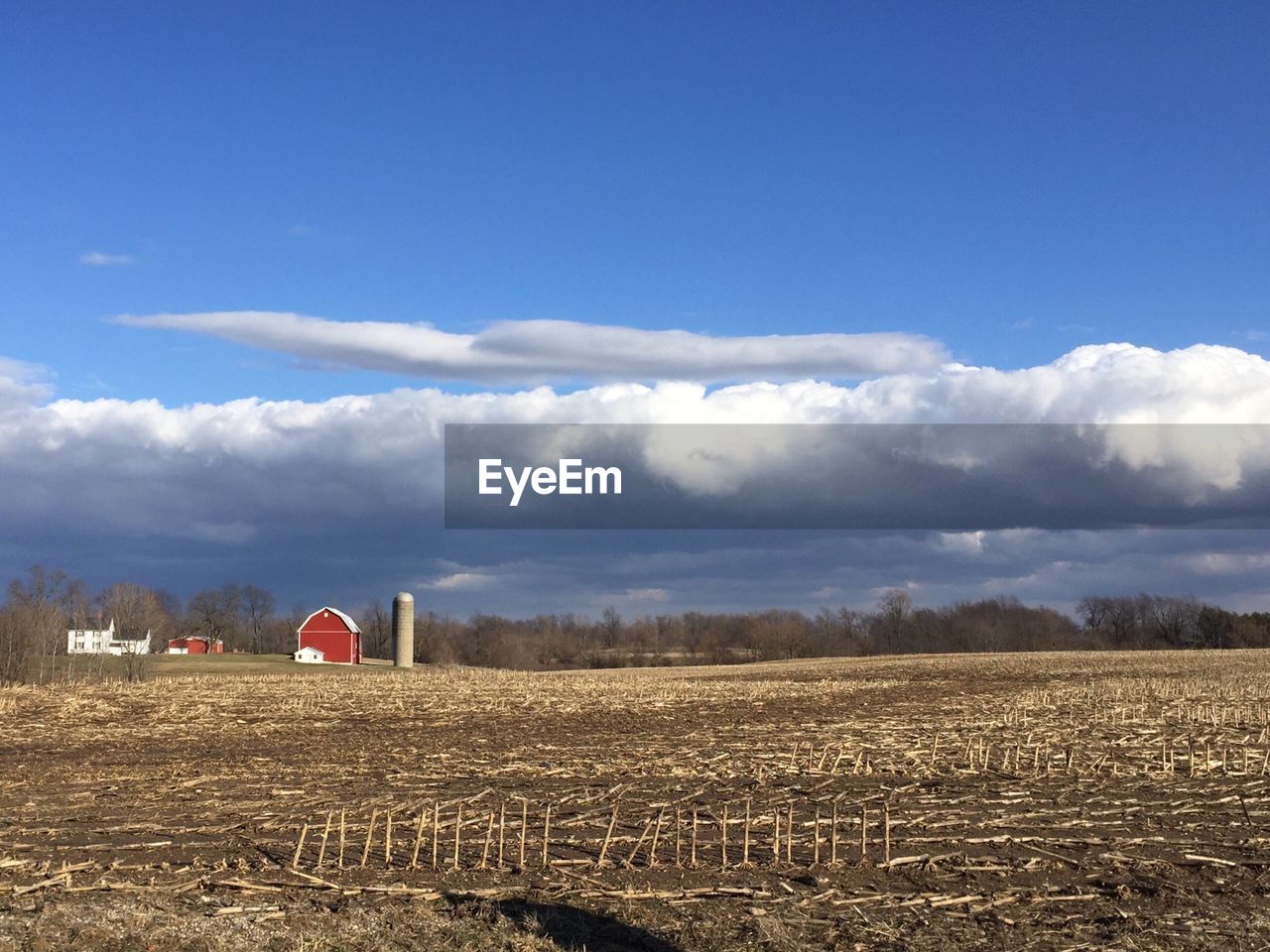 SCENIC VIEW OF RURAL LANDSCAPE