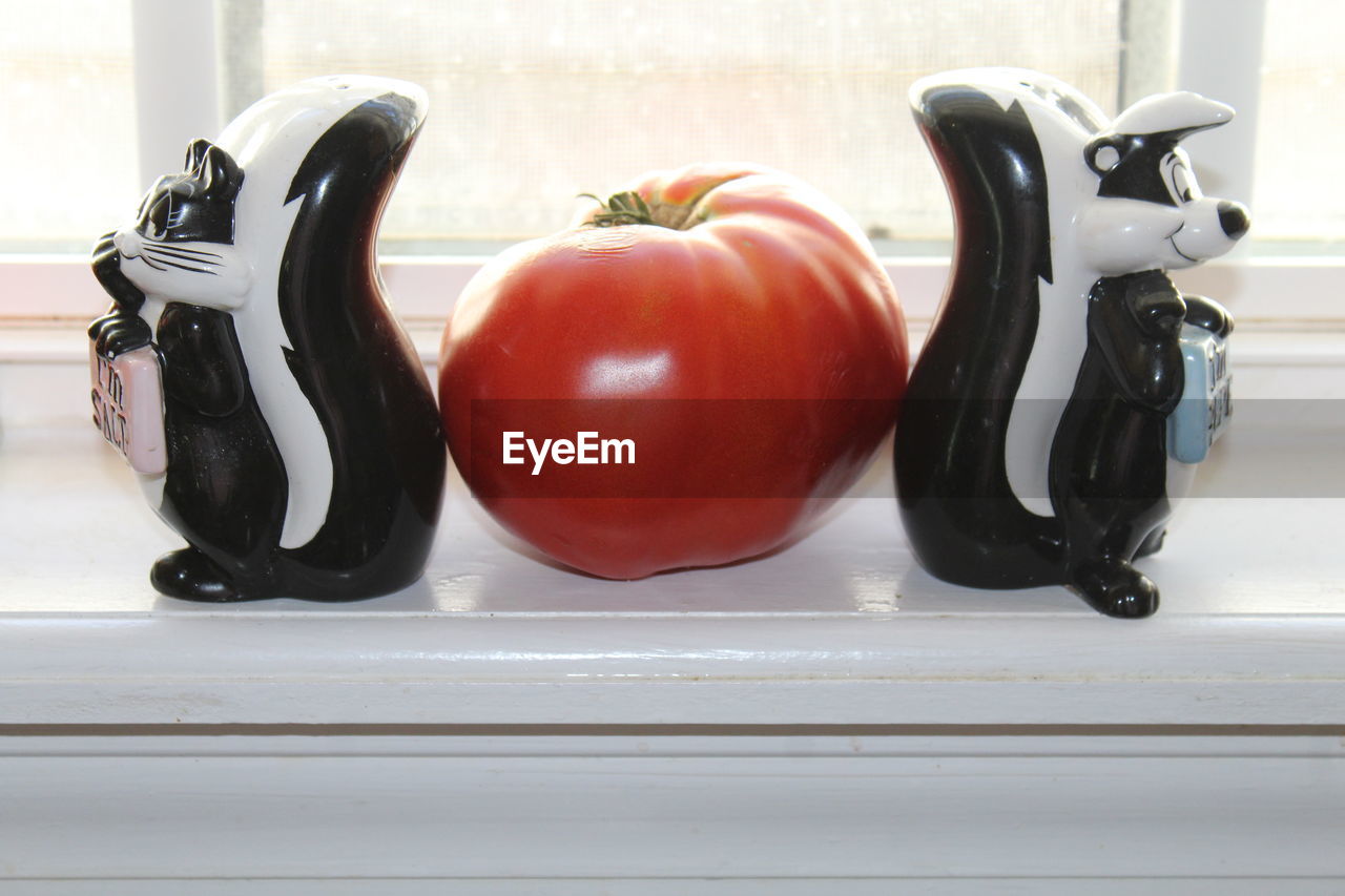 CLOSE-UP OF TOMATOES ON TABLE