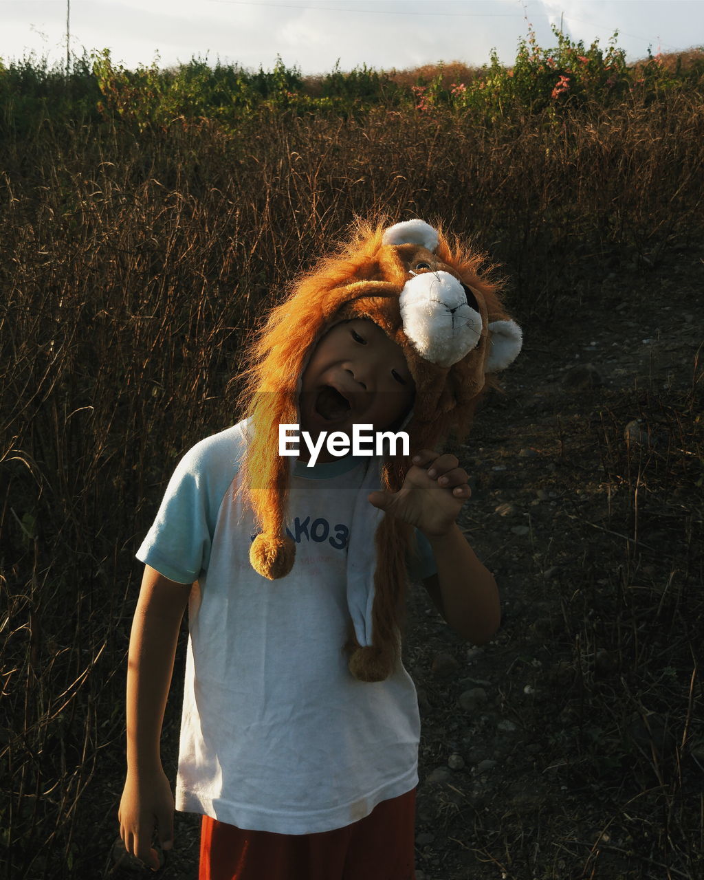 Playful boy wearing lion hat on field