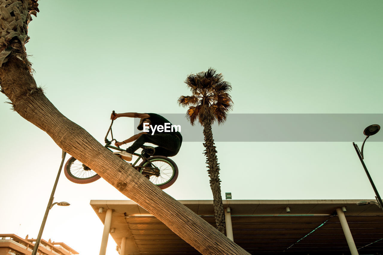 Low angle view of man with bicycle performing stunt against clear sky