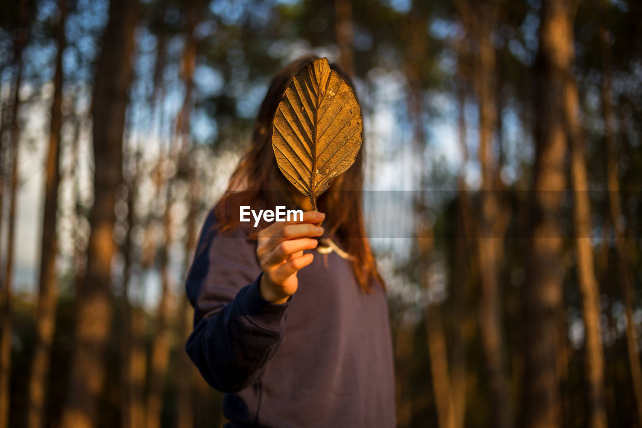 Woman covering face with leaf in forest during sunset
