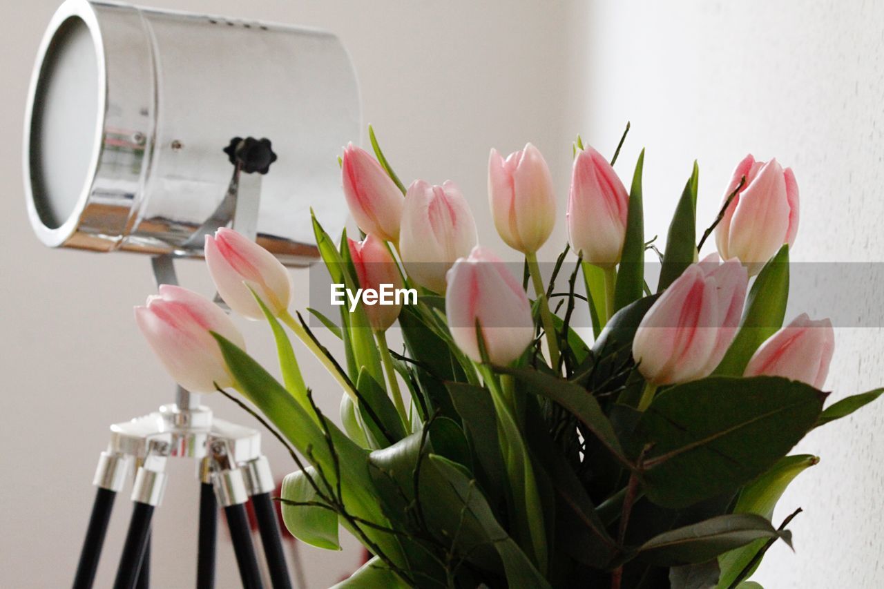 Close-up of pink tulips in vase on table