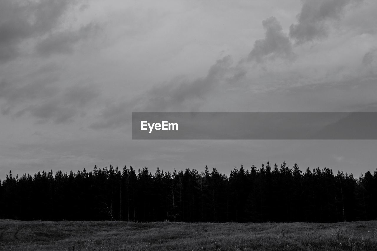 TREES ON LANDSCAPE AGAINST SKY