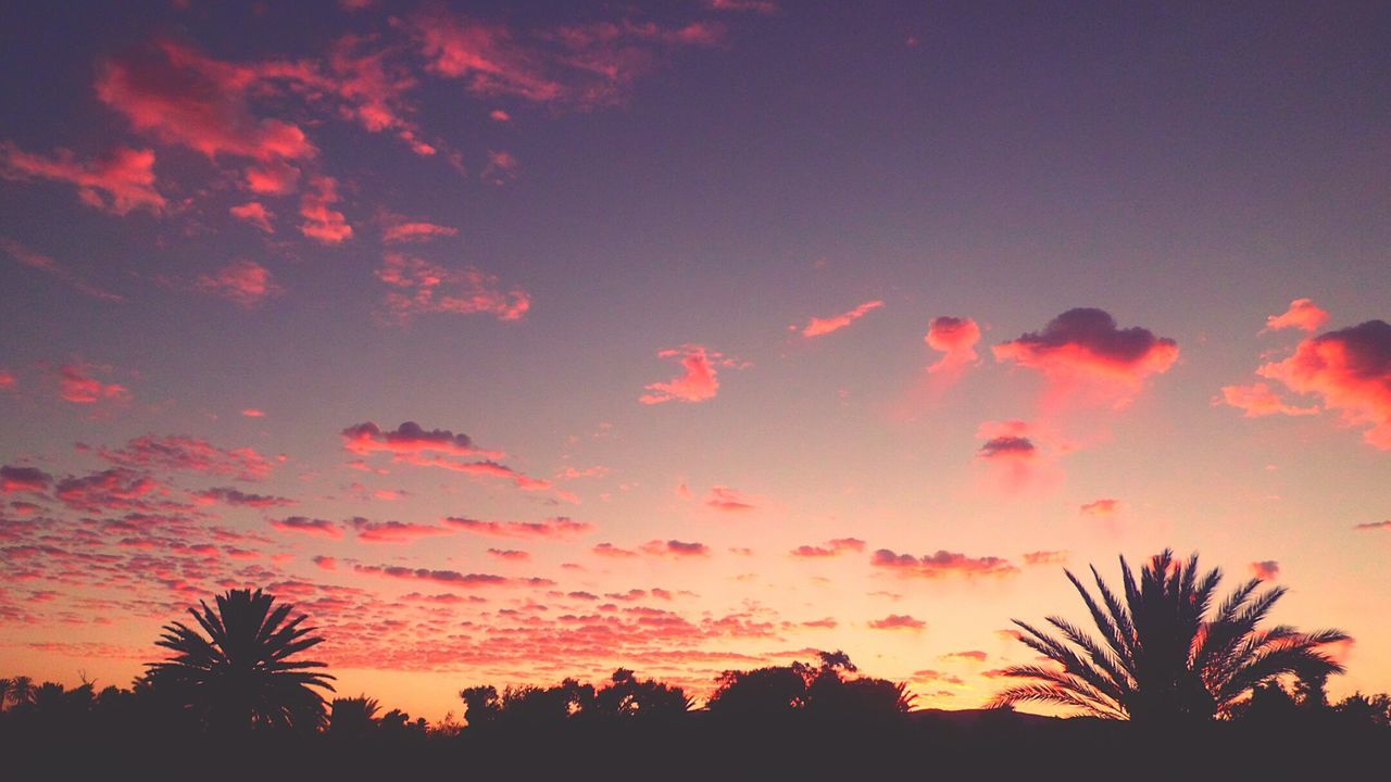 Silhouette trees against sky during sunset