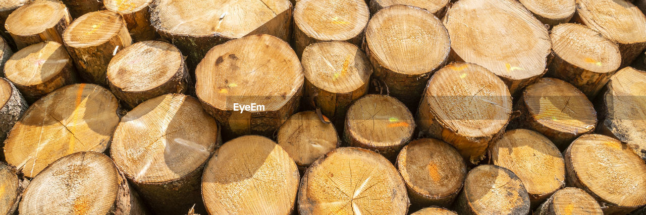 FULL FRAME SHOT OF FIREWOOD AND LOGS IN FOREST