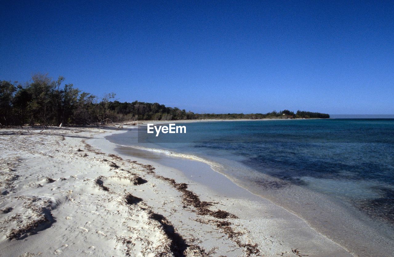 VIEW OF BEACH AGAINST CLEAR BLUE SKY