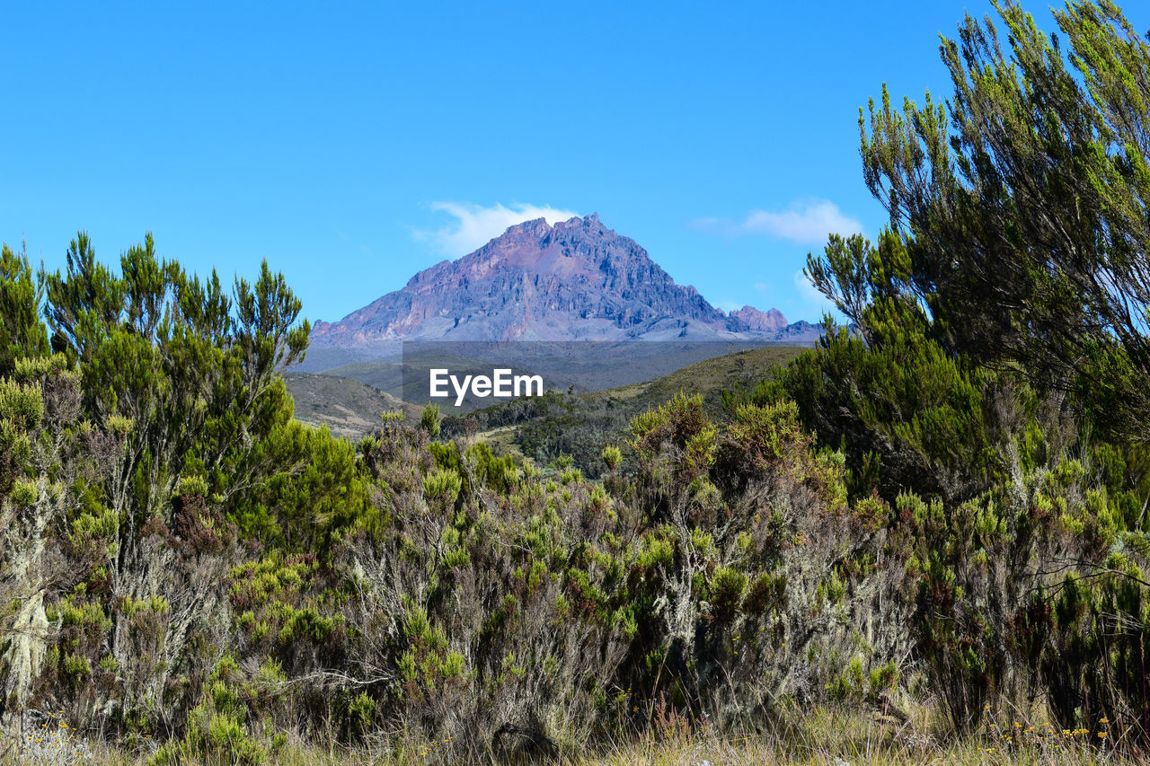 Scenic view of mountains against blue sky while climbing kilimanjaro