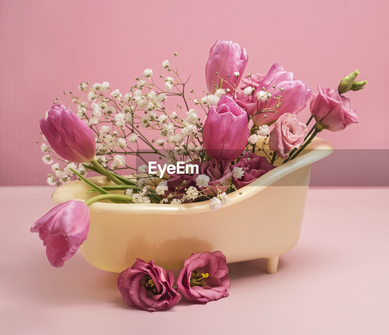 pink, plant, flower, flowering plant, beauty in nature, floristry, nature, studio shot, lilac, freshness, bouquet, indoors, purple, pink background, flower arrangement, colored background, no people, flower head, lavender, fragility, still life, floral design, arrangement, petal, inflorescence, bunch of flowers, decoration, container, blossom, rose, growth, pastel colored, close-up, vase