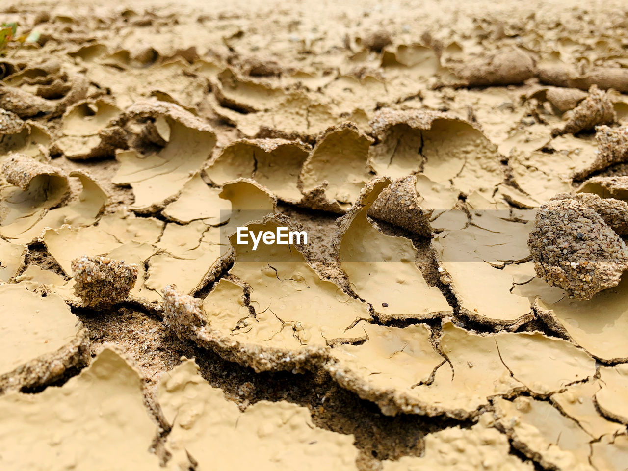 HIGH ANGLE VIEW OF CRACKED LAND