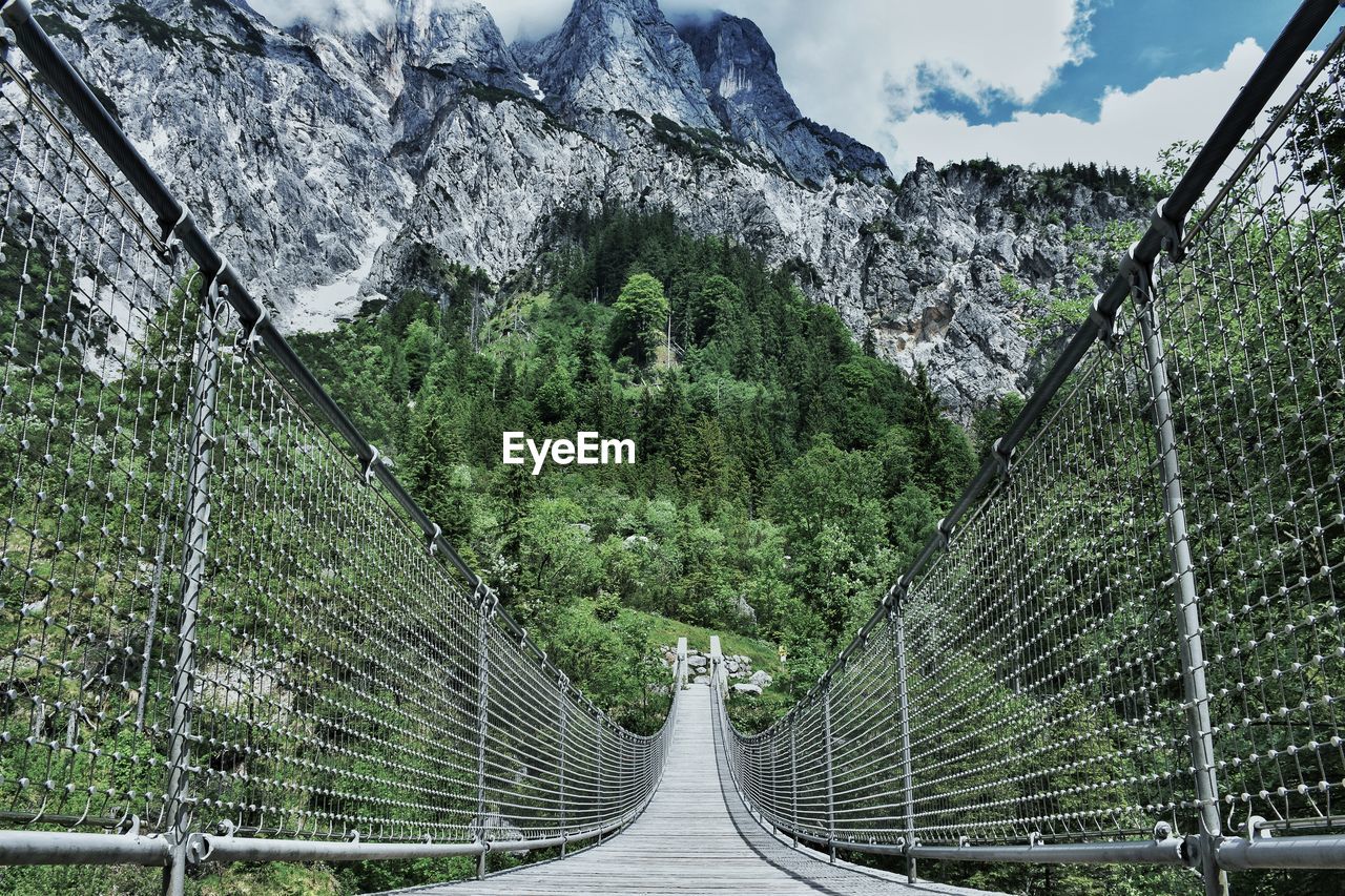 PANORAMIC VIEW OF FOOTBRIDGE IN FOREST