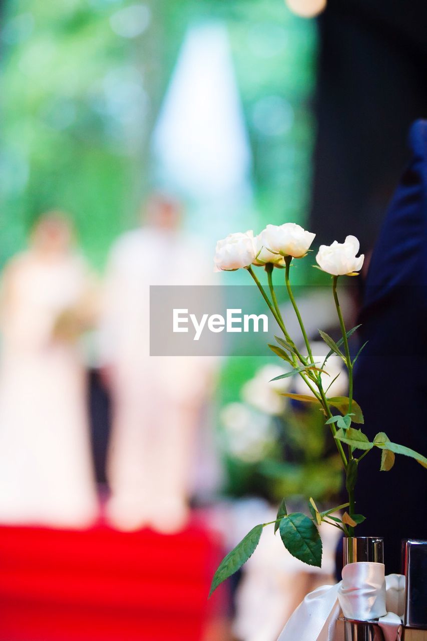 Close-up of white flowers against bride and bridegroom during wedding ceremony