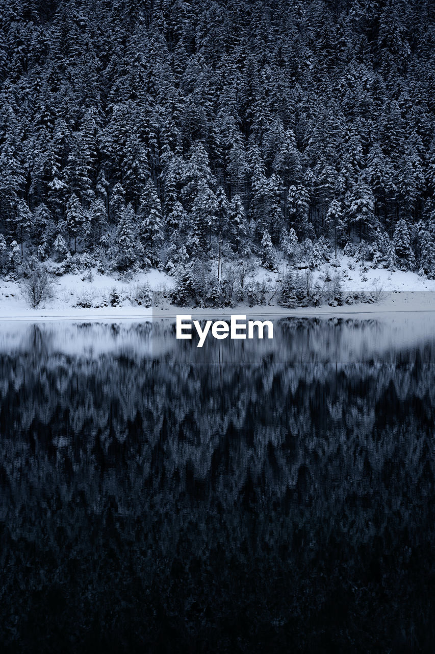 Reflection of mountain in lake