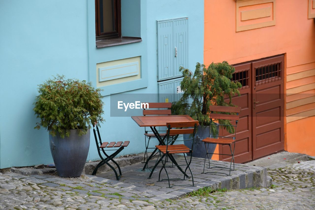 Potted plants on table outside house