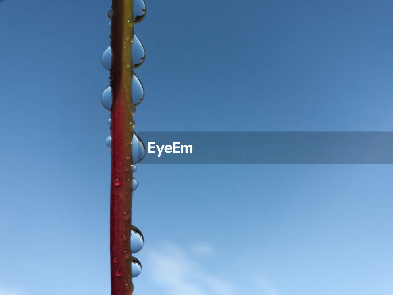 LOW ANGLE VIEW OF HANGING AGAINST SKY