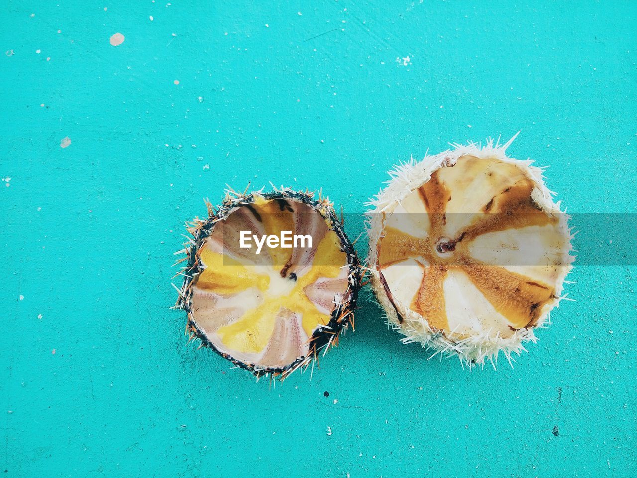 High angle view of coconut on table