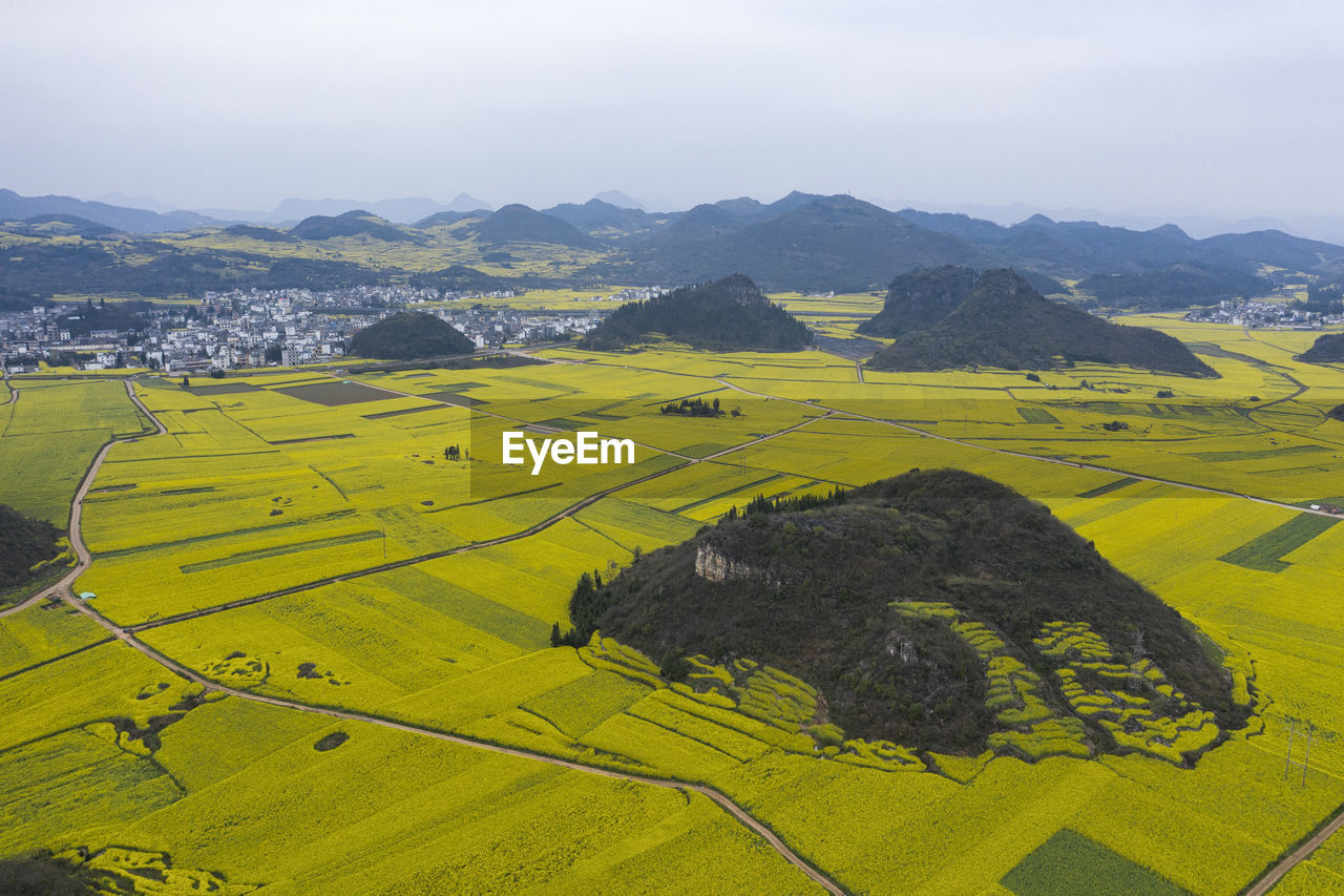 Aerial view of rapeseed flowers in luoping, yunnan - china