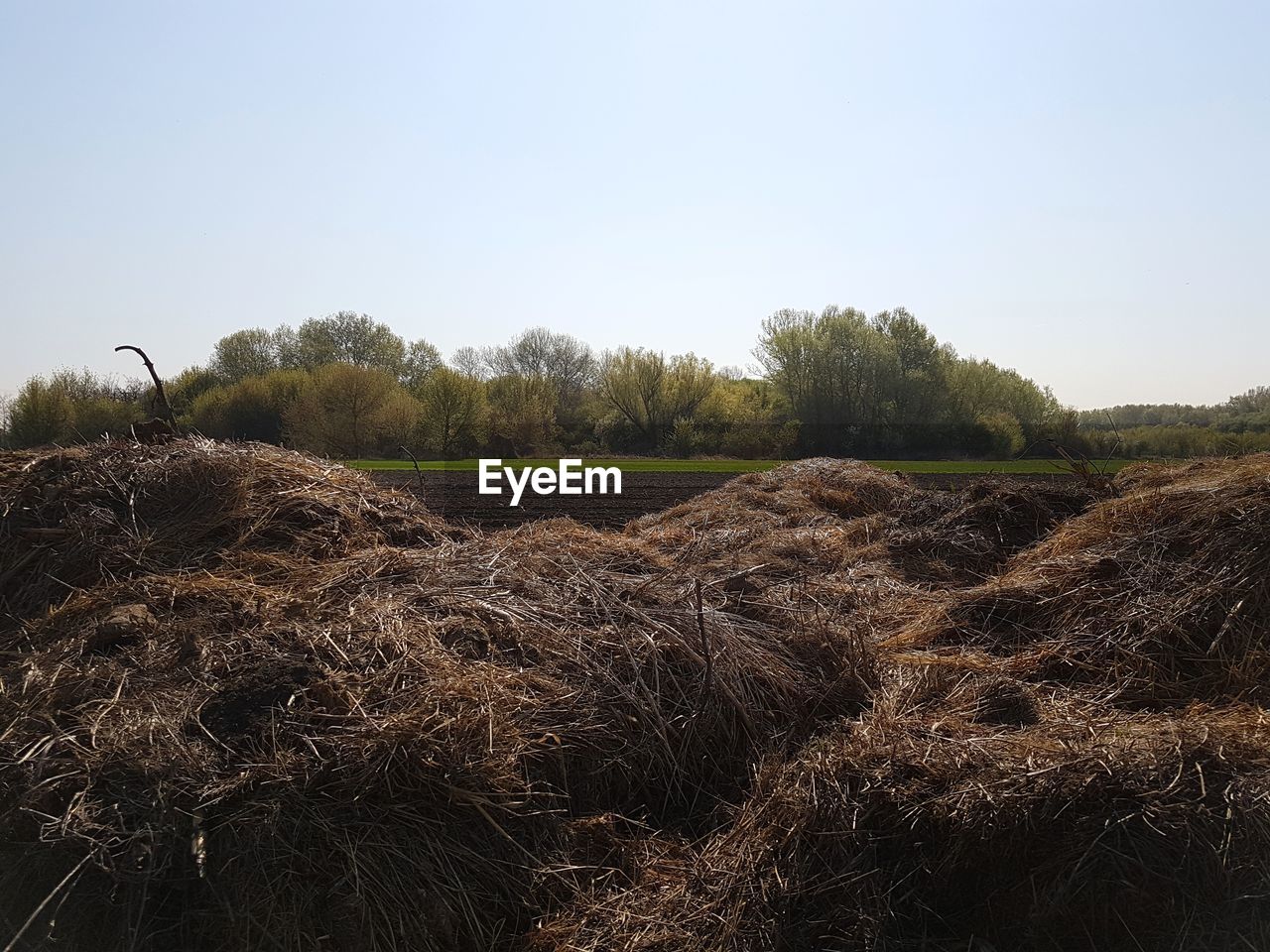 STACK OF HAY BALES ON FIELD AGAINST CLEAR SKY