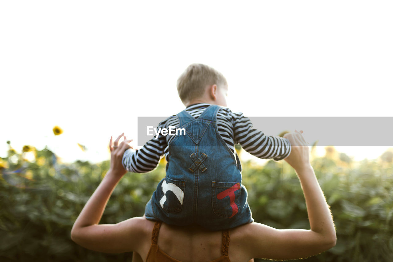 Back view of a son sitting on mother's shoulders amidst sunflower