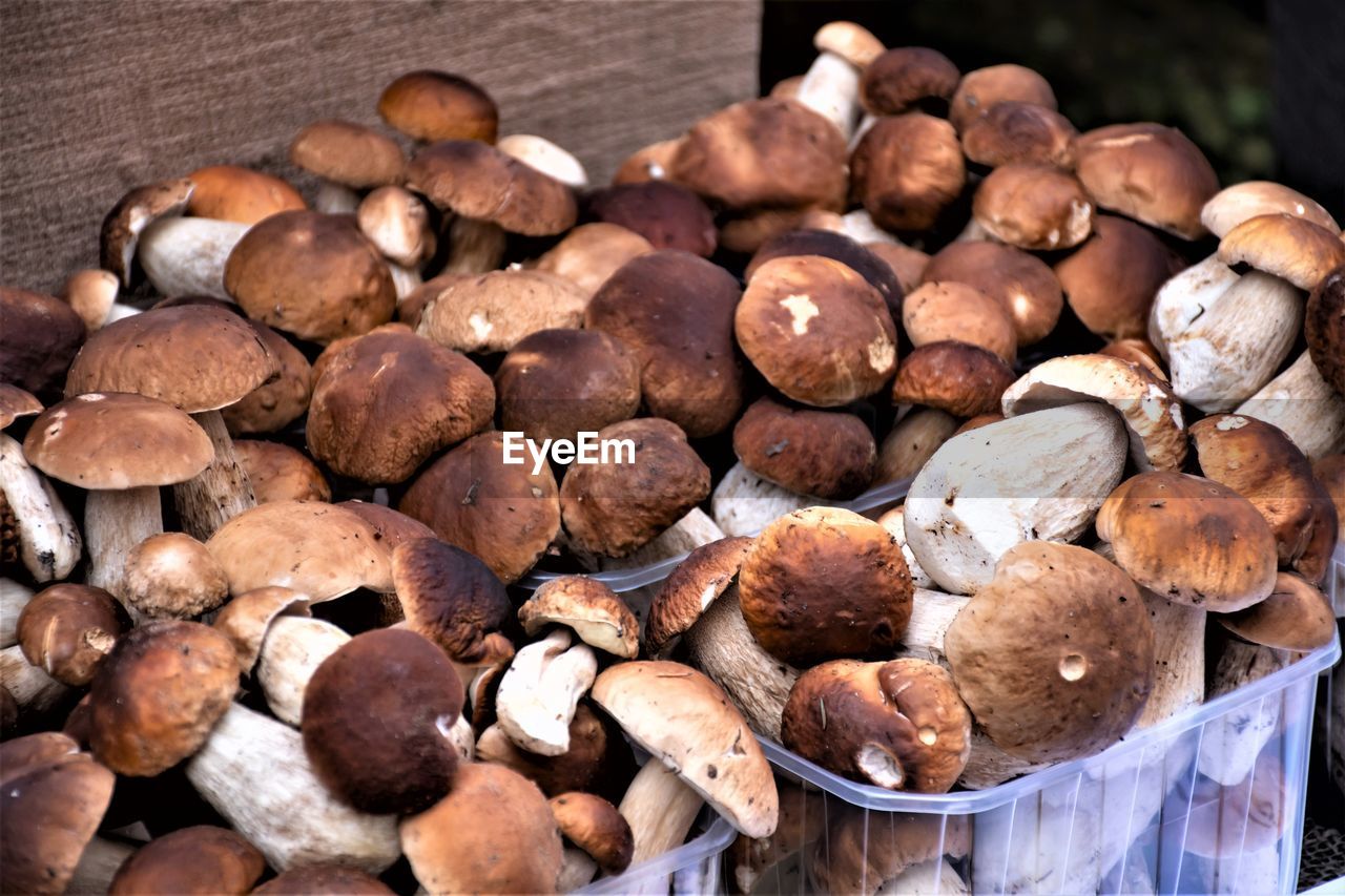 Porcini mushrooms for sale in small baskets in a street food market