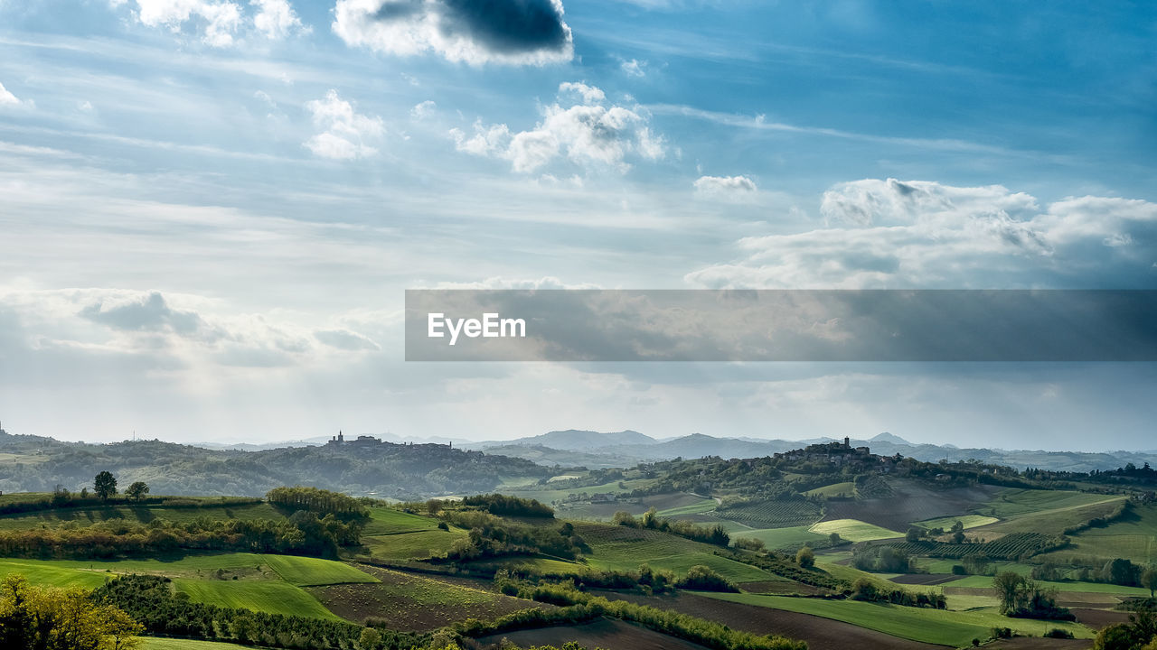 Scenic view of agricultural field against sky