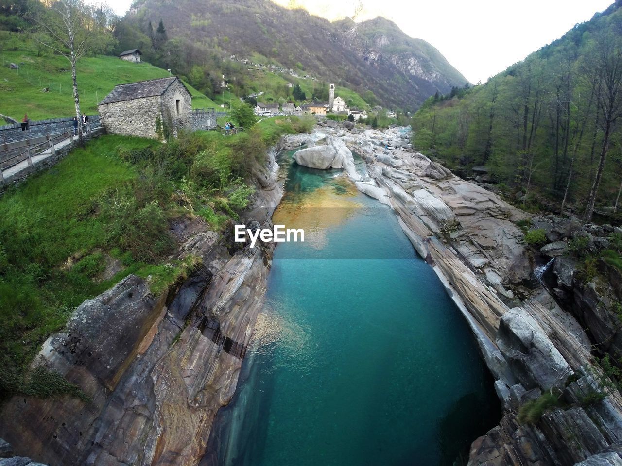 HIGH ANGLE VIEW OF RIVER AMIDST TREES