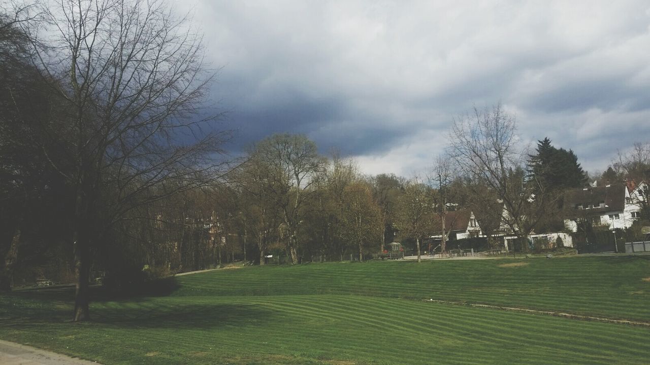 Scenic view of green field and trees against sky