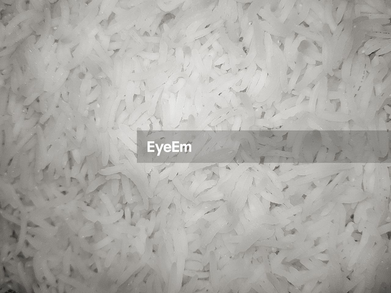FULL FRAME SHOT OF CRAB ON GROUND