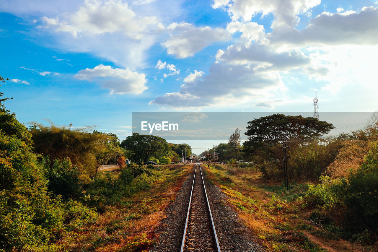 RAILROAD TRACKS AMIDST TREES AND PLANTS AGAINST SKY