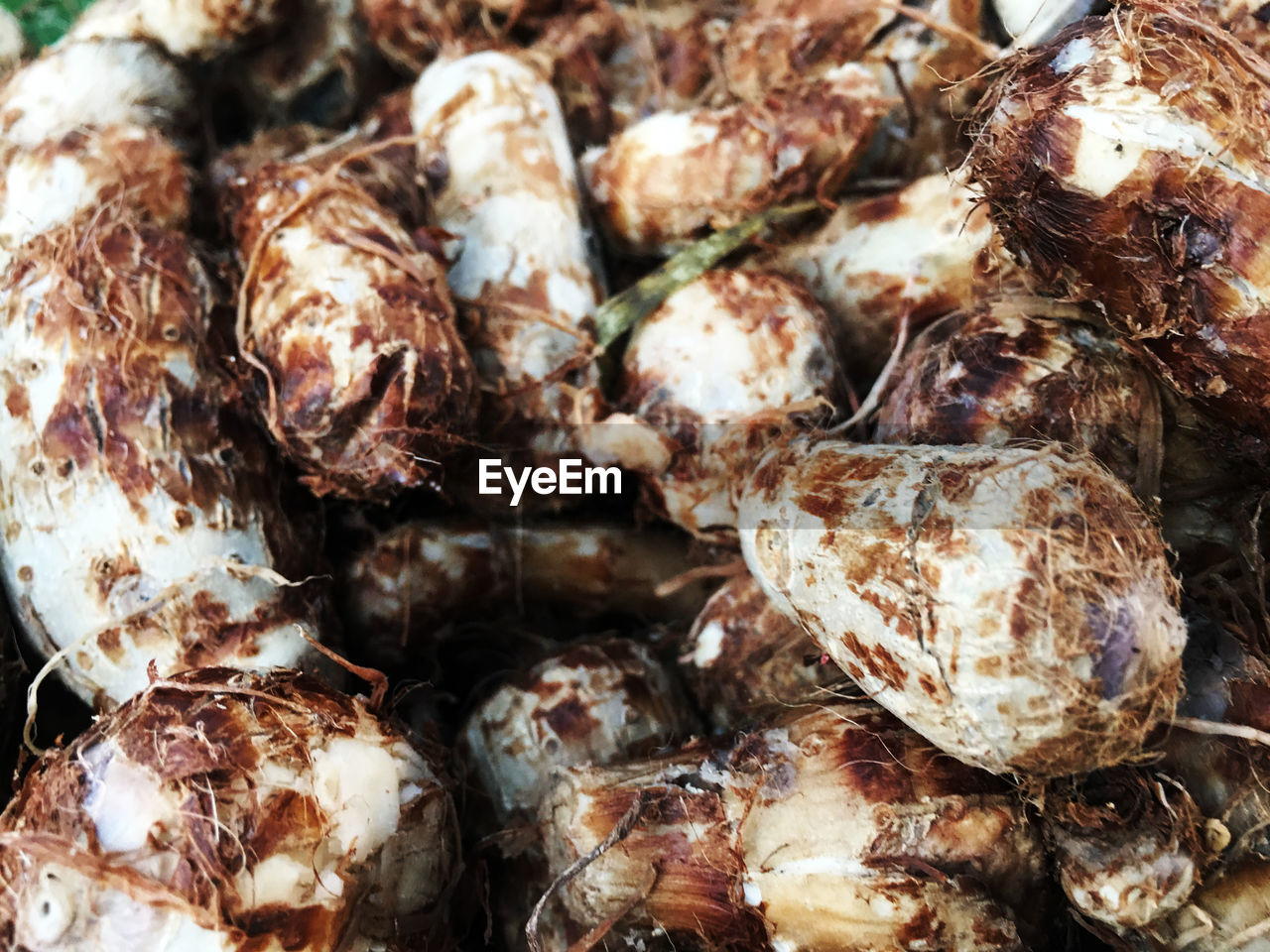 FULL FRAME SHOT OF FOOD IN MARKET