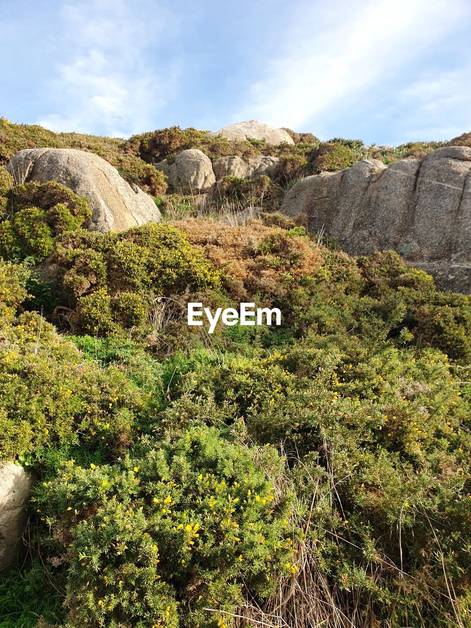 Scenic view of rocky landscape against sky