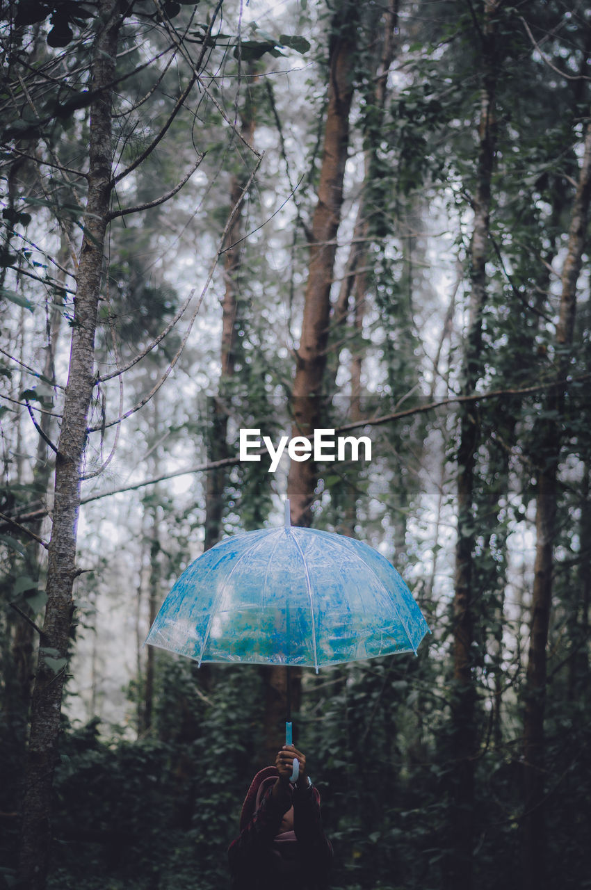 Woman with umbrella standing in forest