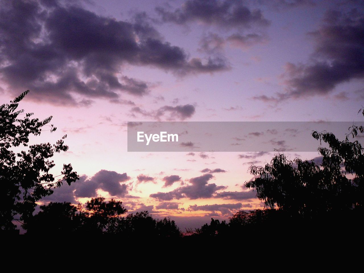 LOW ANGLE VIEW OF SILHOUETTE TREES AGAINST SKY