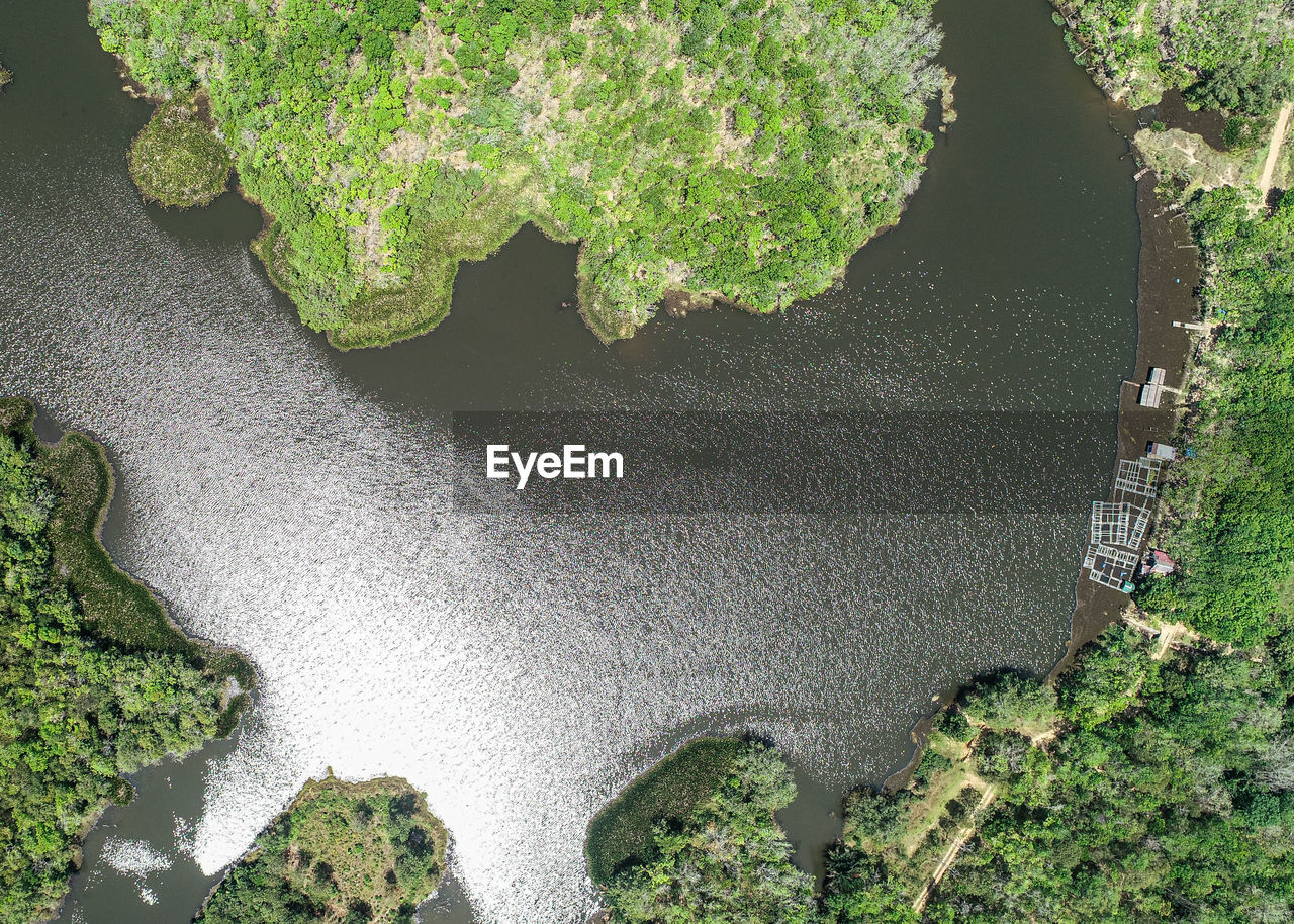 HIGH ANGLE VIEW OF ROCKS BY TREES