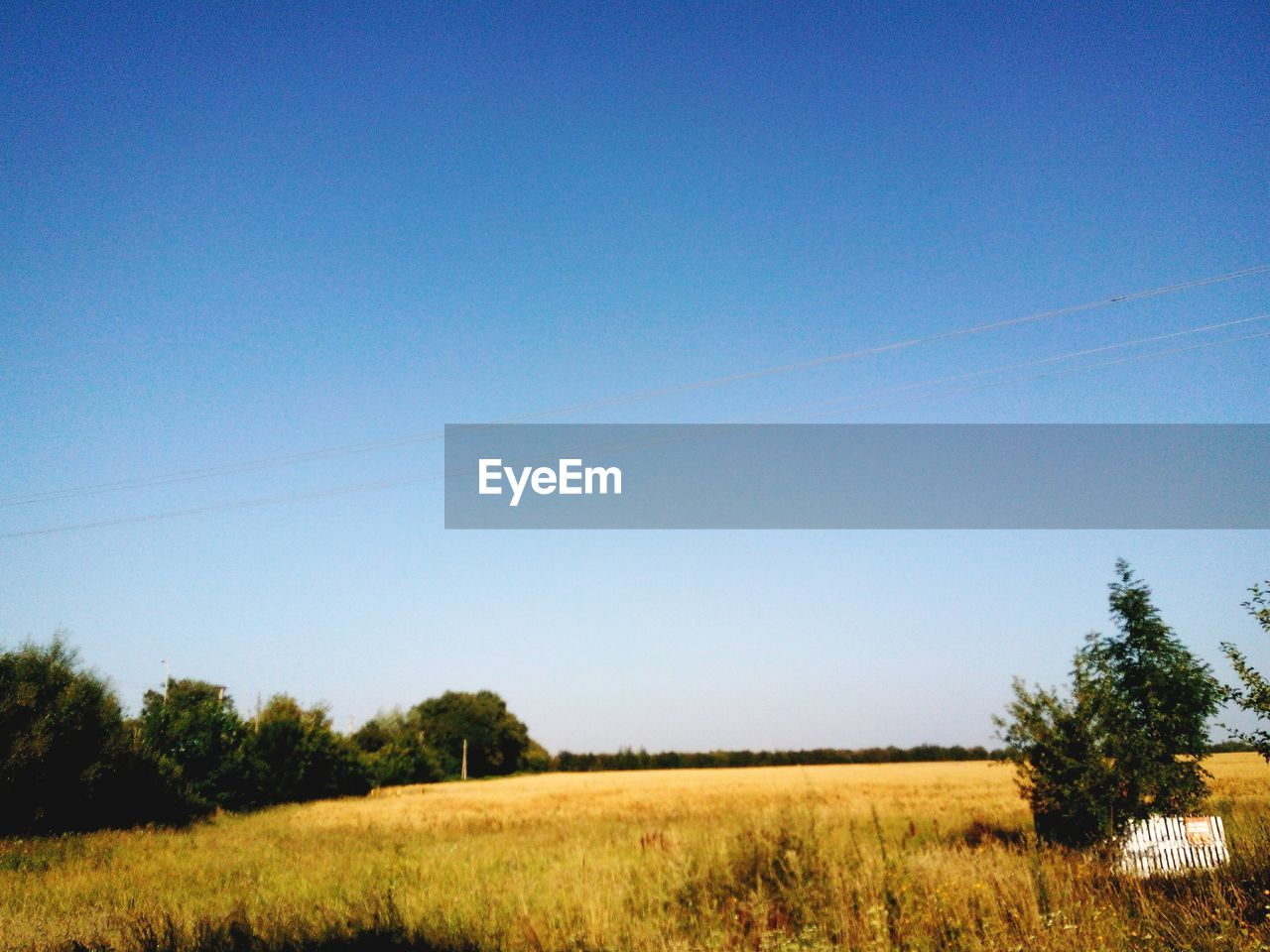 SCENIC VIEW OF FIELD AGAINST CLEAR SKY