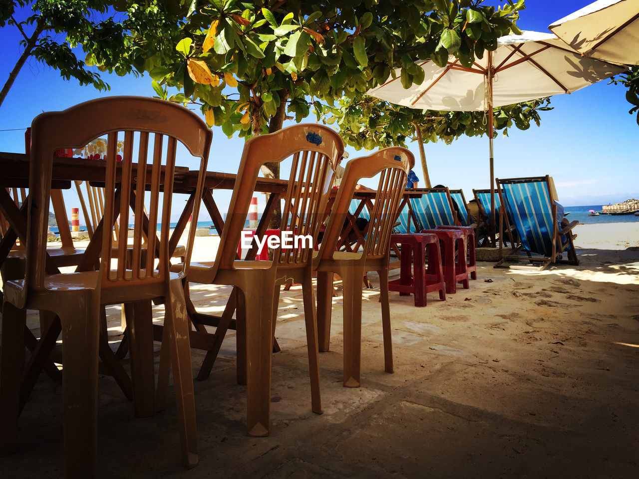 Tables and chairs besides parasols on beach