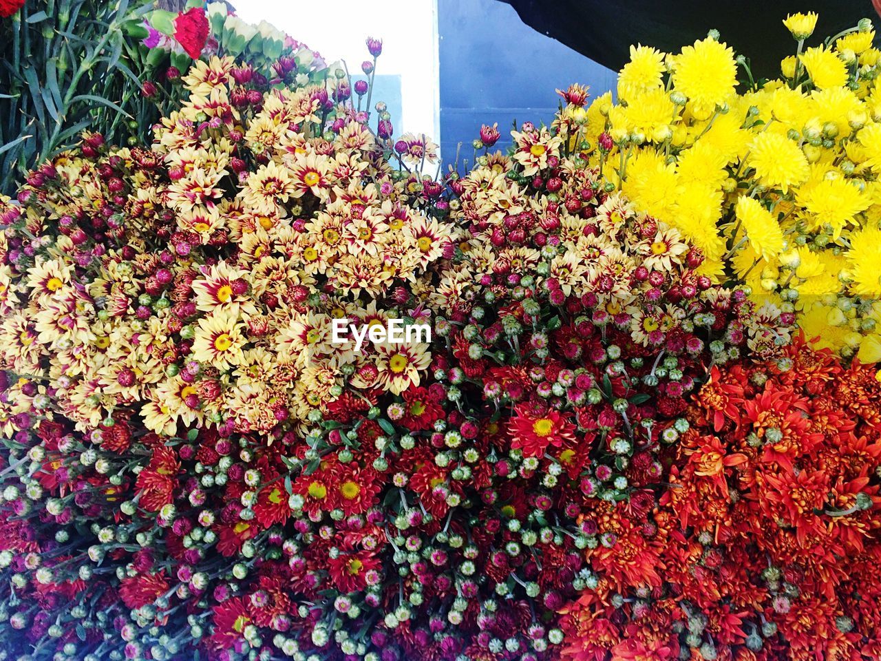 Flowers for sale at market stall